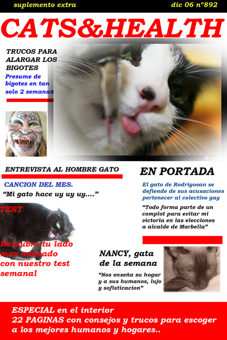 f8835bf10fb82eaec211d5ba049b8b36