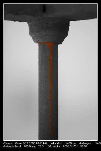 fad6200d0dcad27987a5e3ed3b13e055
