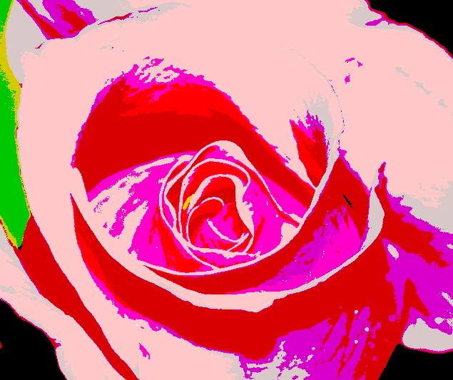 flor_posterizada