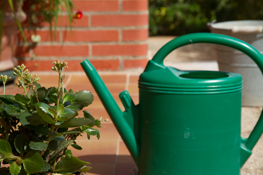 gap_06_ej4_1o_a_foco