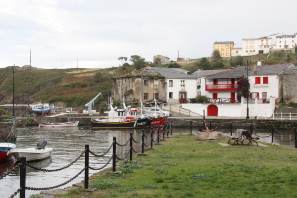 img19351600x400