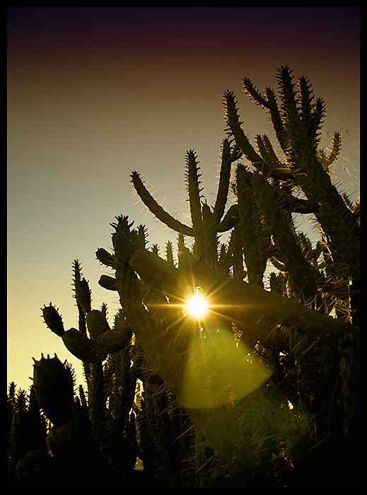 meswy2000_09_g10