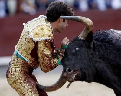 mid_4d958097d4aad2c4003302998ccbfd99_jose20tomas20ball20hornvm6_1_