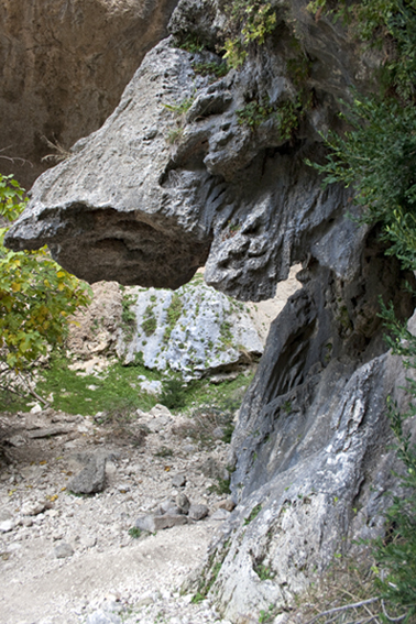naturaleza10