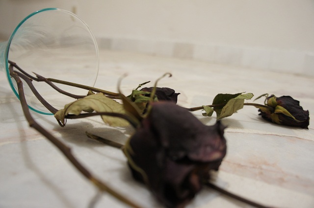 naturaleza_muerta8