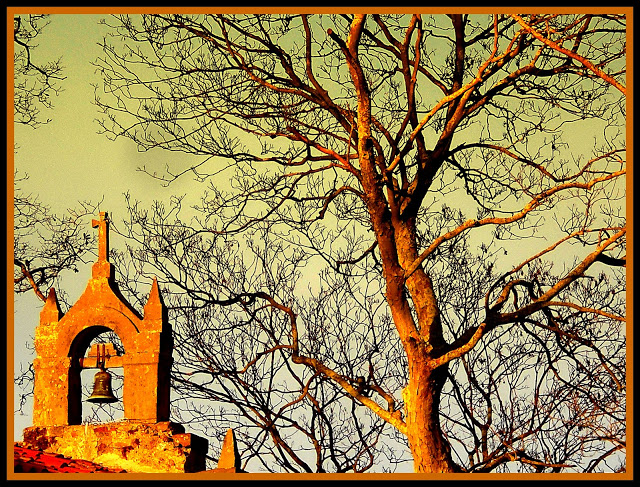 nocturnos_de_arboleya_008