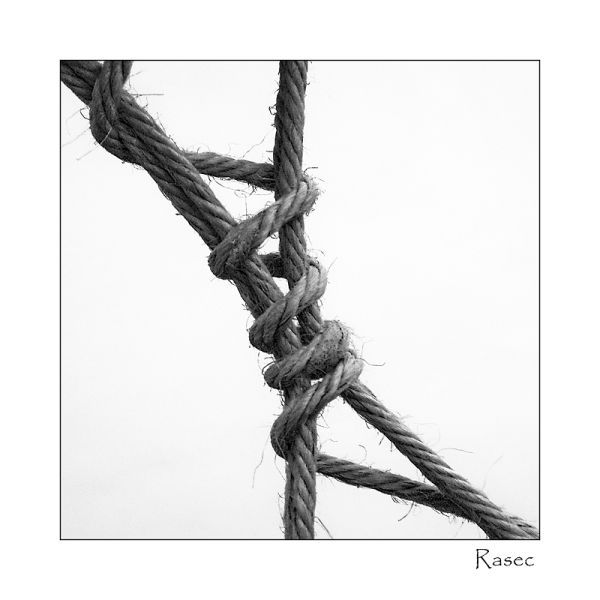 normal_nudos001
