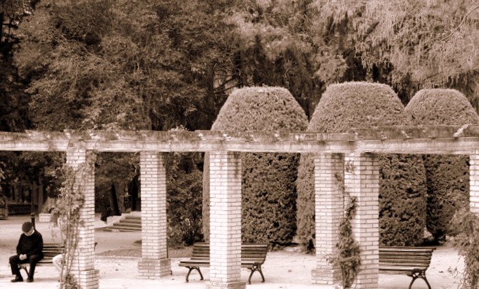 oto_o_2009_007