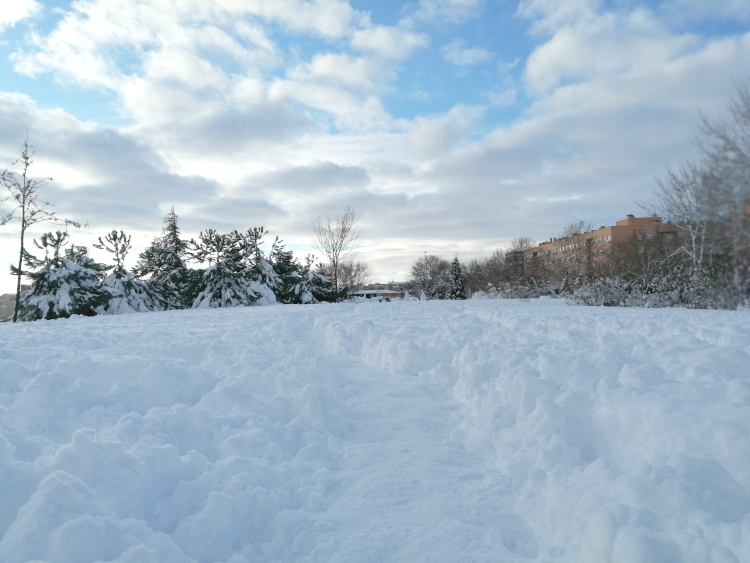 paisaje-nevado-invierno