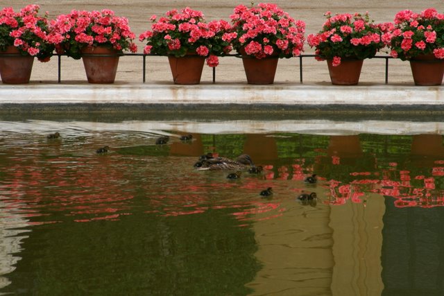 palau_reial_de_pedralbes