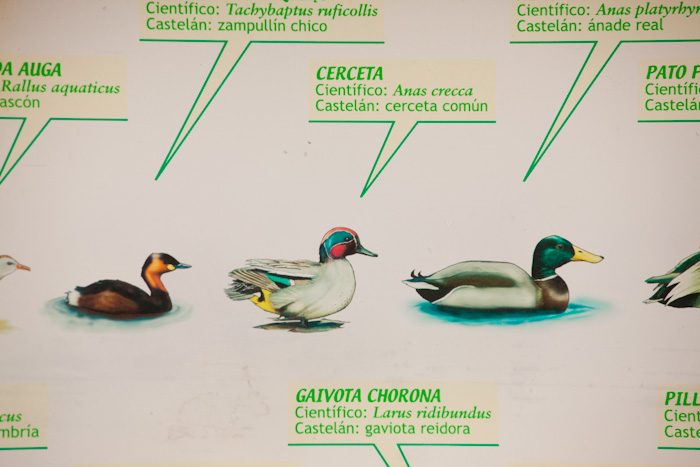patos_cartel_1_de_1_