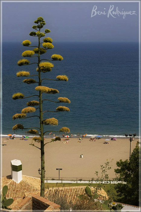 playa_22
