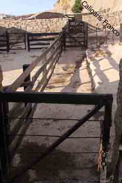 rancho2