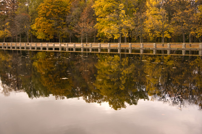 reflejos22