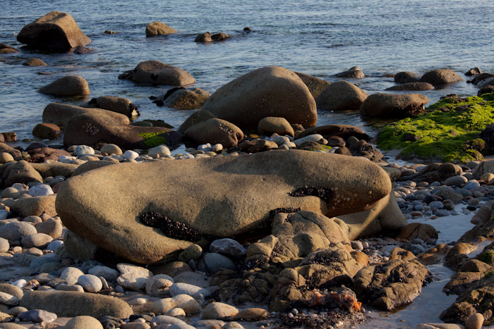 rocas_orilla_1_de_1_