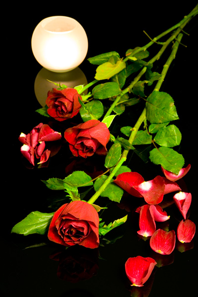rosas3