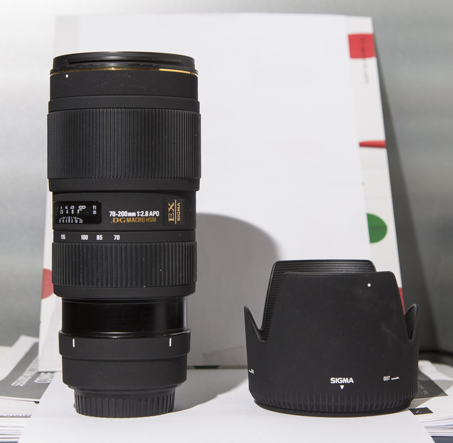 sigma8