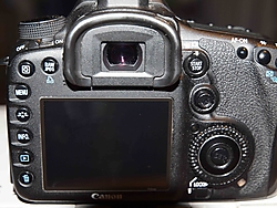 7D3 445.jpg