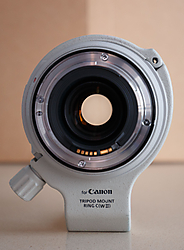 Canon_70-300mm_f4-5_6_L_IS_USM_4_ Canon_70-300mm_f4-5_6_L_IS_USM_4_.JPG
