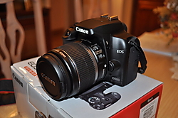 DPP_000515 DPP_000515.JPG
