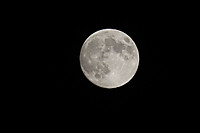 MG_7800A MG_7800A.jpg