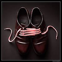 Zapato MG_8995.jpg