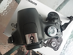P1040926 P1040926.JPG