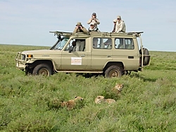 4x4 safari dsc01793.jpg