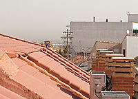 iso 800 con la 1000D iso800_1000D.jpg