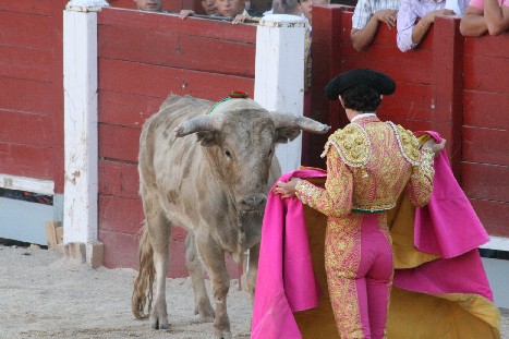 toro21