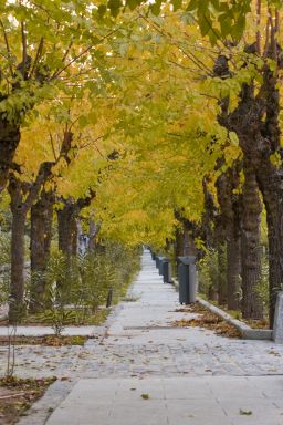 urbana_rural_arquitectura7