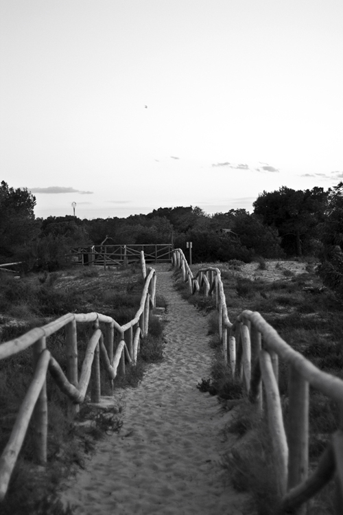 xaquy78_03_g23