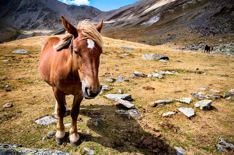 120822-Vallter-182_copia