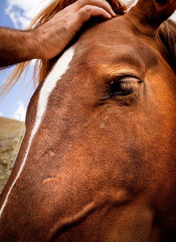 120822-Vallter-186_copia