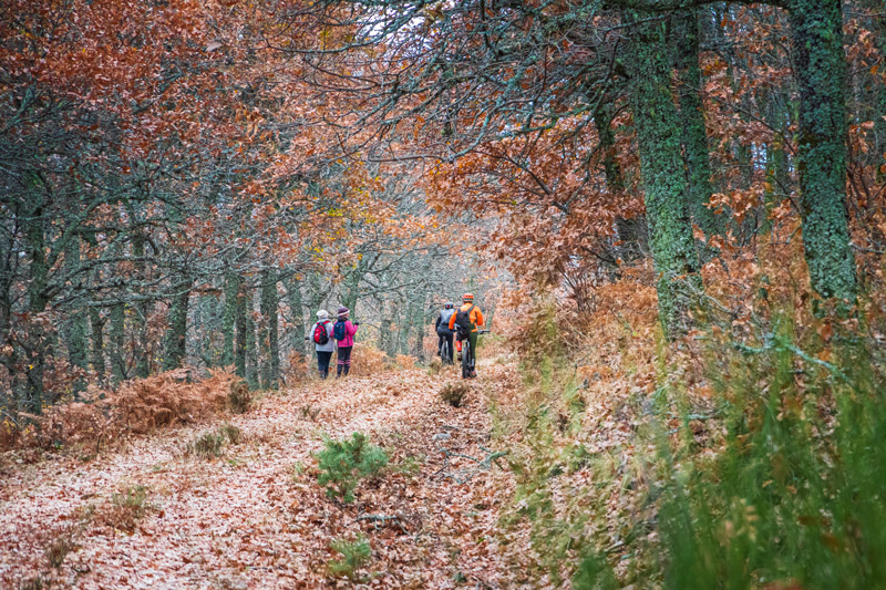 20201108_64_Ruta-Pinilla-del-Valle