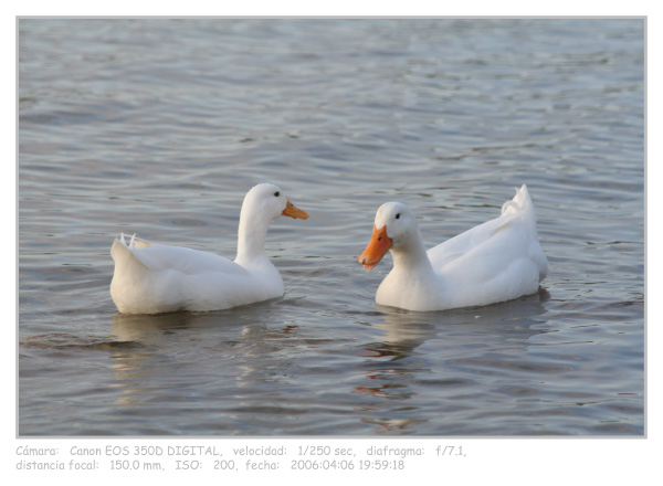 7c3a4a222b3d6c77a474c30c1ff71dc5