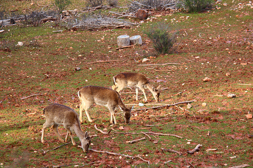 8536414777_840f8dbb7b