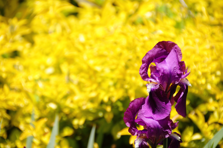 Africa-kenia-zanzibar0119