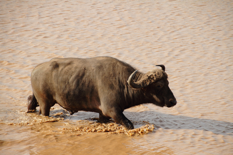 Africa-kenia-zanzibar0208