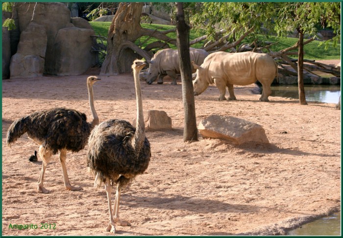 BIOPARC_SEP2012_103