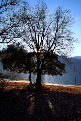 CAZORLA_111