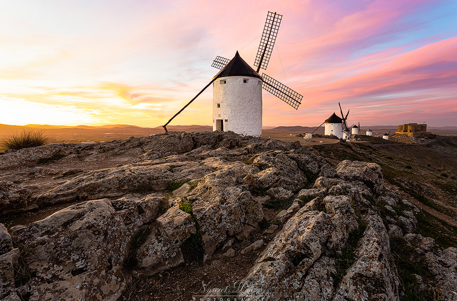 Consuegra1