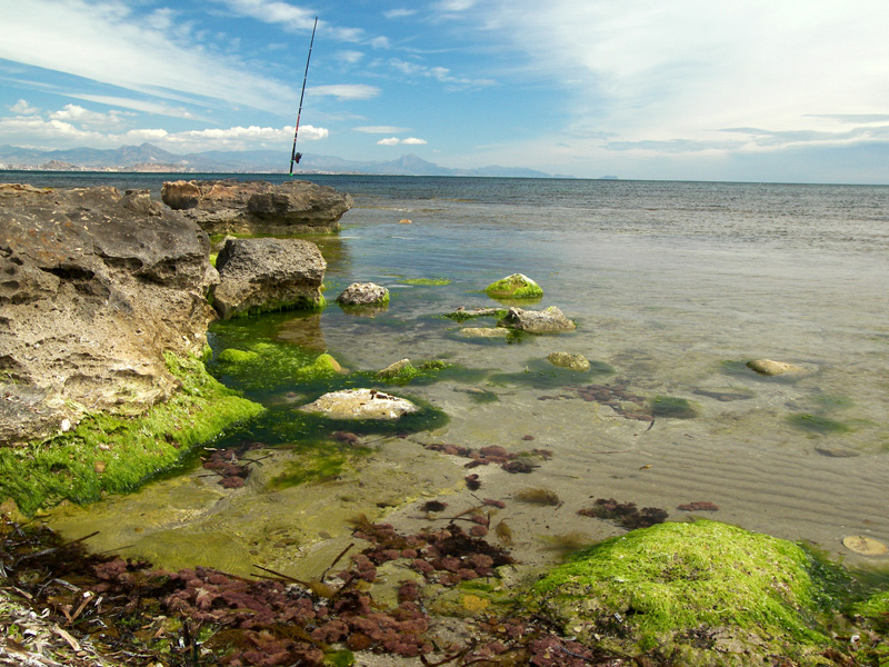De_Pesca1