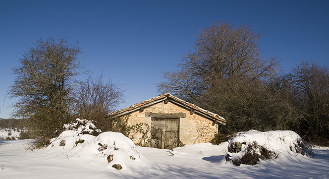 MG_5584-2