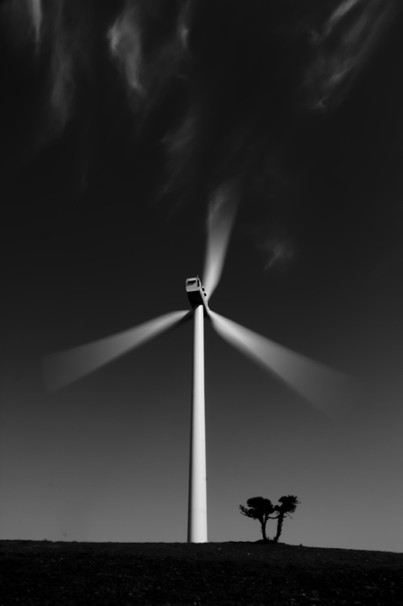 Molino_de_viento_