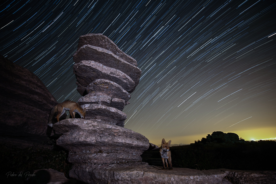 Startrails4