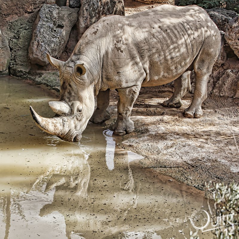 bioparc_1210