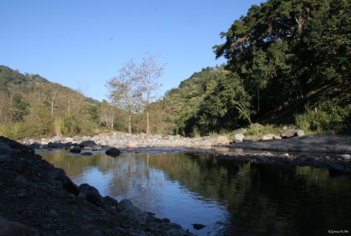 c71ad1dae426036d83dd2d7ceb426733