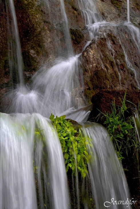 entre_las_aguas_canon