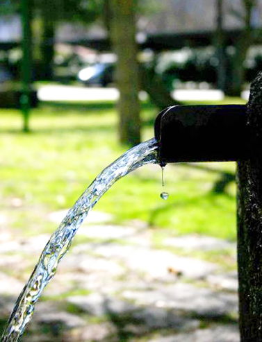 gota39